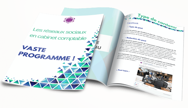 Mockup livre blanc sur l'utilisation des reseaux sociaux.png