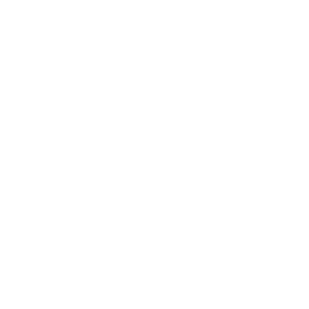 Icône réseau social