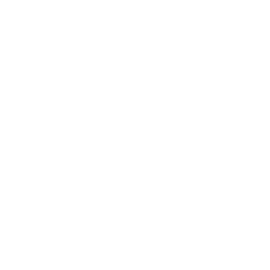 Icône réseau social