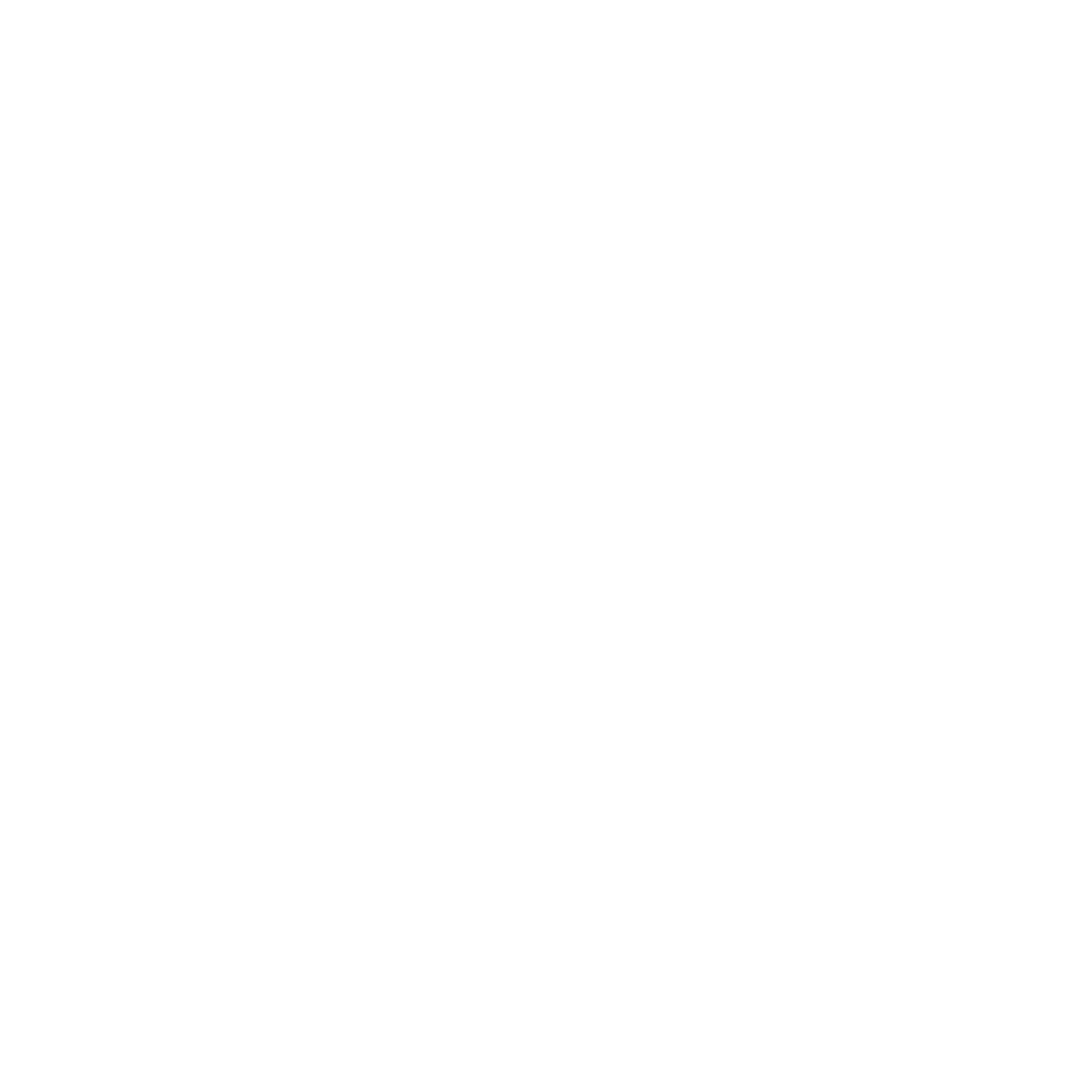 logo blanc vertical