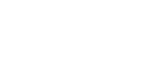 Default logo